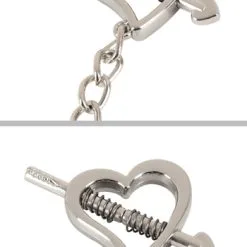 Bad Kitty Hjärtformade Bröstklämmor