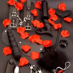 Toy Joy Amazing Pleasure Sexleksakskit