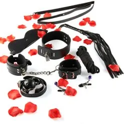Toy Joy BDSM Starter Kit